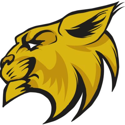 AR30 WILDCAT 02 RQC Thumbnail