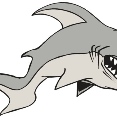 AR5 Shark 10 RQC Thumbnail