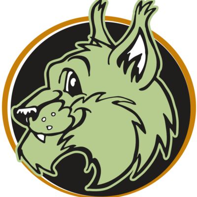 AR WILDCAT 17 RC Thumbnail