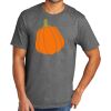 PC330 - Port and Company Unisex Tri Blend T-shirt PC330 - Port and Company Unisex Tri Blend T-shirt Thumbnail