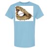 4800 - Best Value 100% Cotton T-Shirt Thumbnail