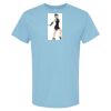 4800 - Best Value 100% Cotton T-Shirt Thumbnail