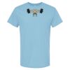 4800 - Best Value 100% Cotton T-Shirt Thumbnail
