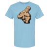 4800 - Best Value 100% Cotton T-Shirt Thumbnail