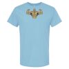 4800 - Best Value 100% Cotton T-Shirt Thumbnail