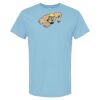 4800 - Best Value 100% Cotton T-Shirt Thumbnail