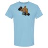 4800 - Best Value 100% Cotton T-Shirt Thumbnail