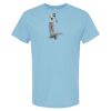 4800 - Best Value 100% Cotton T-Shirt Thumbnail