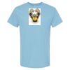 4800 - Best Value 100% Cotton T-Shirt Thumbnail