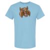 4800 - Best Value 100% Cotton T-Shirt Thumbnail