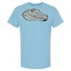 4800 - Best Value 100% Cotton T-Shirt Thumbnail