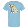 4800 - Best Value 100% Cotton T-Shirt Thumbnail