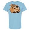 4800 - Best Value 100% Cotton T-Shirt Thumbnail