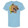 4800 - Best Value 100% Cotton T-Shirt Thumbnail