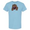 4800 - Best Value 100% Cotton T-Shirt Thumbnail