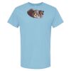 4800 - Best Value 100% Cotton T-Shirt Thumbnail