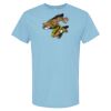 4800 - Best Value 100% Cotton T-Shirt Thumbnail