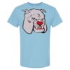 4800 - Best Value 100% Cotton T-Shirt Thumbnail