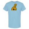 4800 - Best Value 100% Cotton T-Shirt Thumbnail