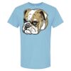 4800 - Best Value 100% Cotton T-Shirt Thumbnail