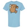 4800 - Best Value 100% Cotton T-Shirt Thumbnail