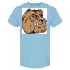 4800 - Best Value 100% Cotton T-Shirt Thumbnail