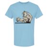 4800 - Best Value 100% Cotton T-Shirt Thumbnail