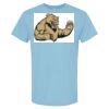 4800 - Best Value 100% Cotton T-Shirt Thumbnail