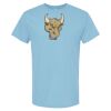 4800 - Best Value 100% Cotton T-Shirt Thumbnail