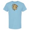 4800 - Best Value 100% Cotton T-Shirt Thumbnail