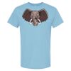 4800 - Best Value 100% Cotton T-Shirt Thumbnail