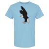 4800 - Best Value 100% Cotton T-Shirt Thumbnail