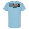 4800 - Best Value 100% Cotton T-Shirt Thumbnail