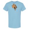 4800 - Best Value 100% Cotton T-Shirt Thumbnail