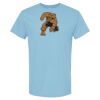 4800 - Best Value 100% Cotton T-Shirt Thumbnail