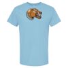 4800 - Best Value 100% Cotton T-Shirt Thumbnail