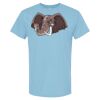 4800 - Best Value 100% Cotton T-Shirt Thumbnail