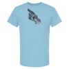4800 - Best Value 100% Cotton T-Shirt Thumbnail