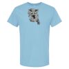 4800 - Best Value 100% Cotton T-Shirt Thumbnail