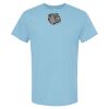 4800 - Best Value 100% Cotton T-Shirt Thumbnail