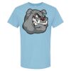 4800 - Best Value 100% Cotton T-Shirt Thumbnail