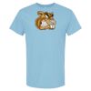 4800 - Best Value 100% Cotton T-Shirt Thumbnail