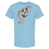 4800 - Best Value 100% Cotton T-Shirt Thumbnail