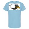 4800 - Best Value 100% Cotton T-Shirt Thumbnail