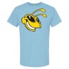 4800 - Best Value 100% Cotton T-Shirt Thumbnail