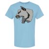 4800 - Best Value 100% Cotton T-Shirt Thumbnail