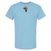4800 - Best Value 100% Cotton T-Shirt Thumbnail