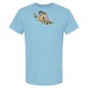 4800 - Best Value 100% Cotton T-Shirt Thumbnail