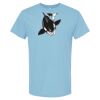 4800 - Best Value 100% Cotton T-Shirt Thumbnail
