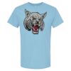 4800 - Best Value 100% Cotton T-Shirt Thumbnail